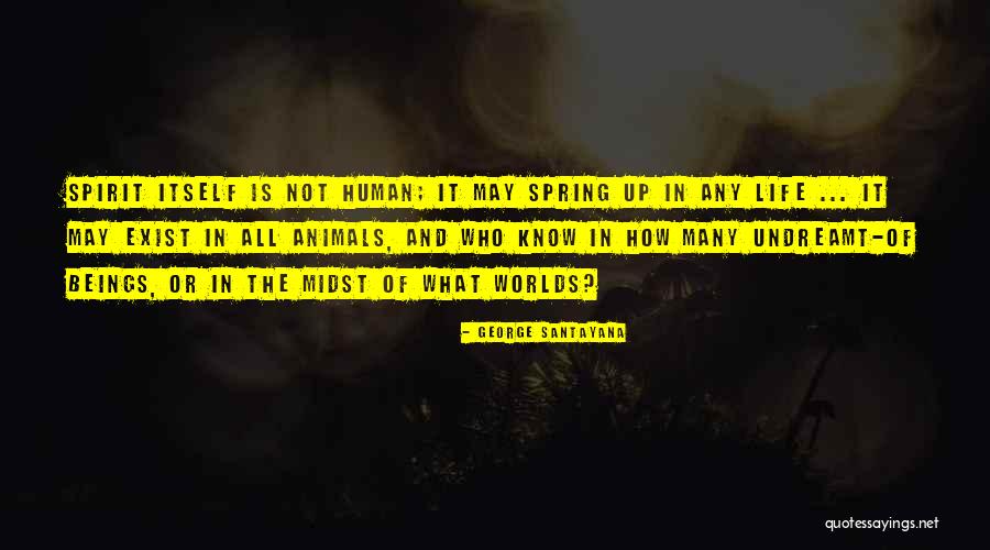 Markens Quotes By George Santayana Markens Quotes By George Santayana