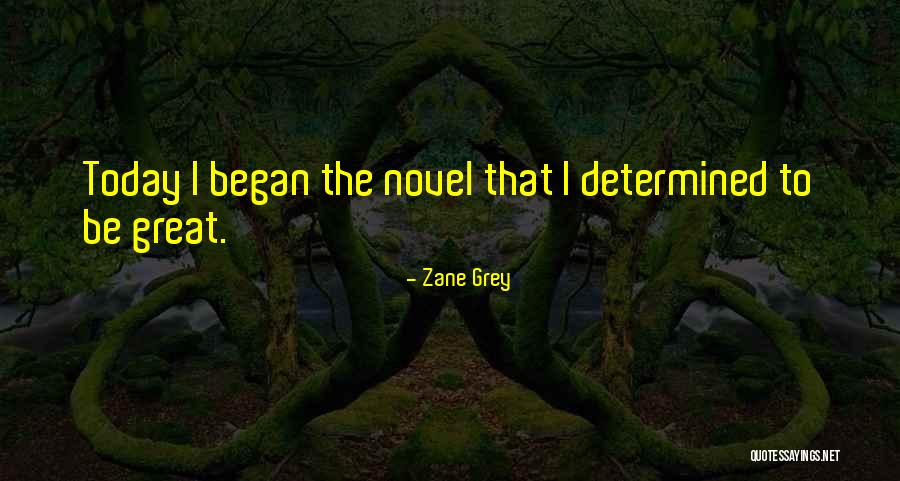Marketability Discount Quotes By Zane Grey