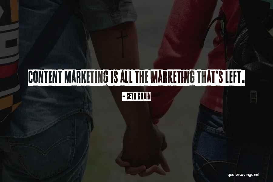 Marketers Quotes By Seth Godin