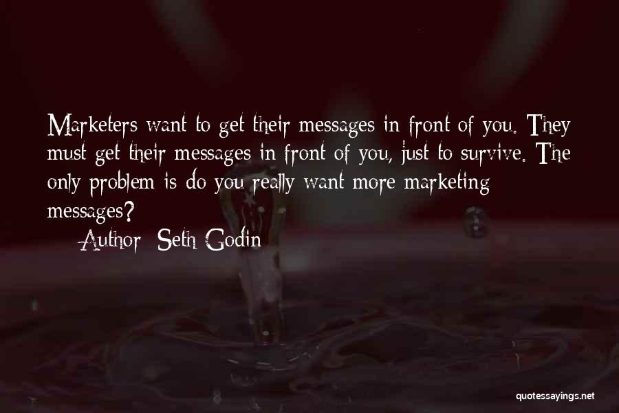 Marketers Quotes By Seth Godin