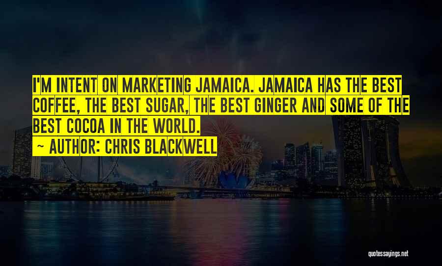 Marketing Quotes By Chris Blackwell