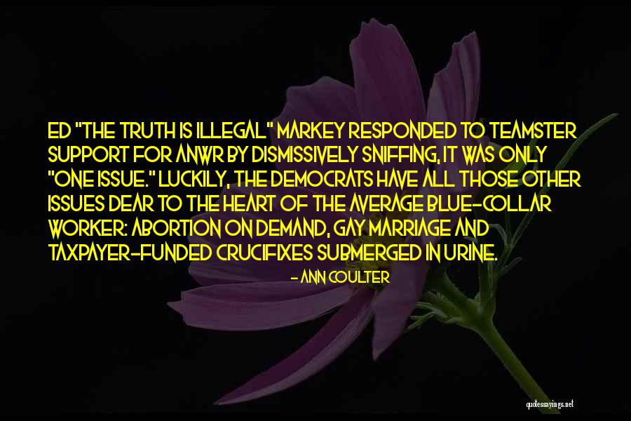 Markey Quotes By Ann Coulter Markey Quotes By Ann Coulter