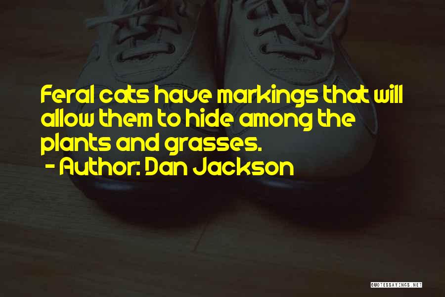 Markings Quotes By Dan Jackson