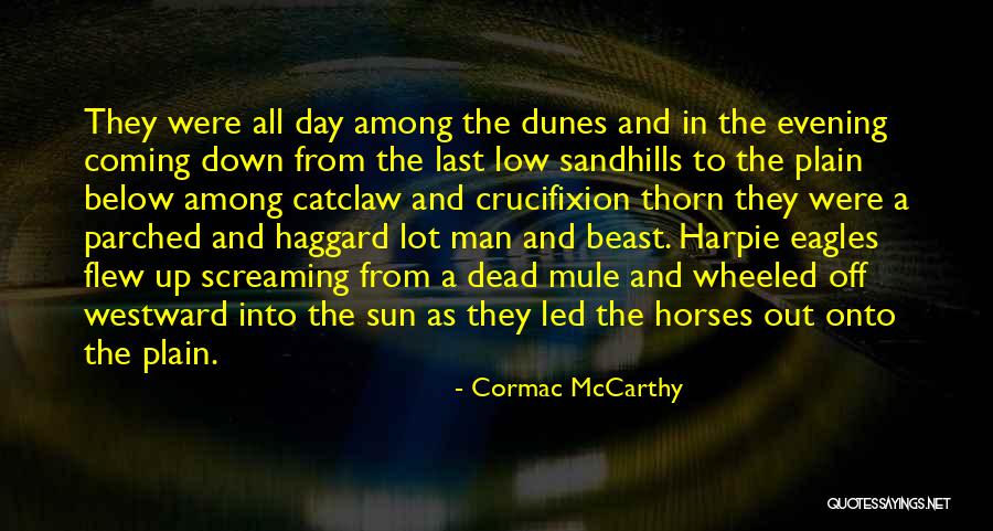 Markko Vineyards Quotes By Cormac McCarthy Markko Vineyards Quotes By Cormac McCarthy