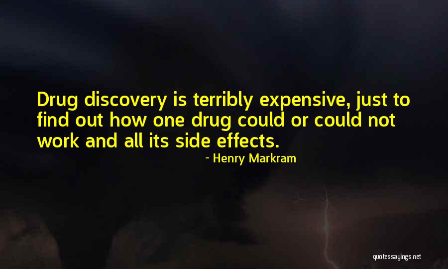 Markram Inc Quotes By Henry Markram Markram Inc Quotes By Henry Markram