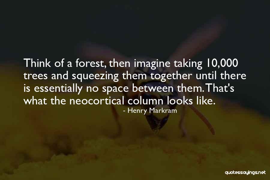 Markram Inc Quotes By Henry Markram Markram Inc Quotes By Henry Markram