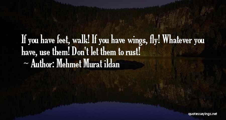 Marktl Cke Quotes By Mehmet Murat Ildan