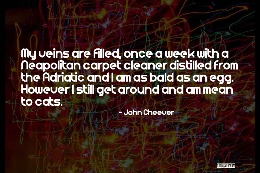 Markwort Knob Quotes By John Cheever Markwort Knob Quotes By John Cheever