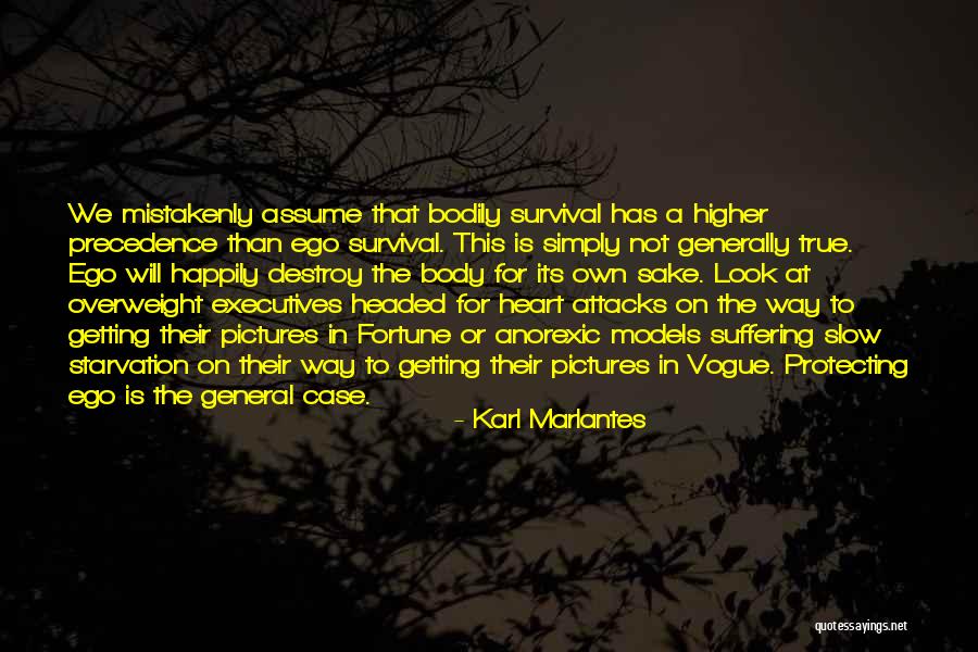 Marlantes Quotes By Karl Marlantes Marlantes Quotes By Karl Marlantes