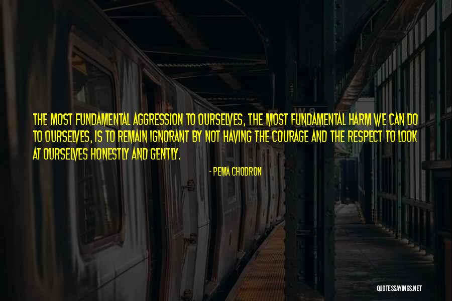 Marlars Quotes By Pema Chodron Marlars Quotes By Pema Chodron