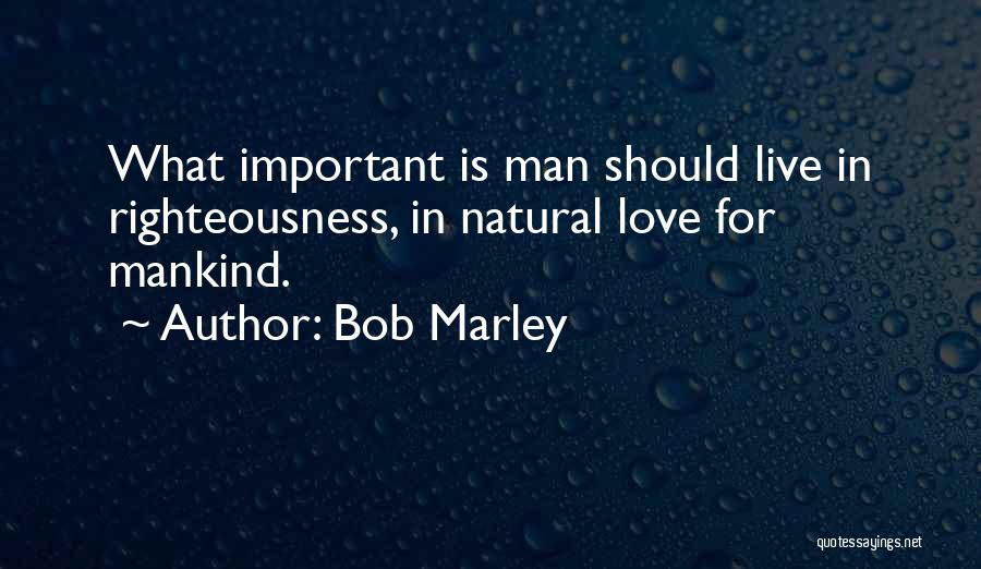 Marley And Me Important Quotes By Bob Marley