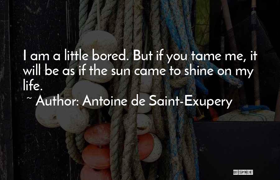 Marlique Guitar Quotes By Antoine De Saint-Exupery