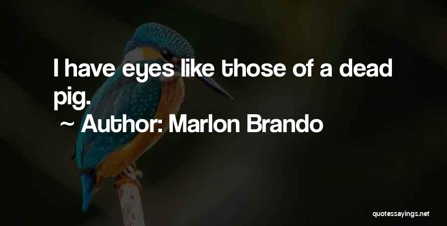 Marlon Quotes By Marlon Brando