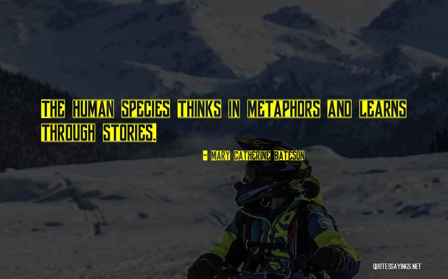 Marmara Manhattan Quotes By Mary Catherine Bateson Marmara Manhattan Quotes By Mary Catherine Bateson