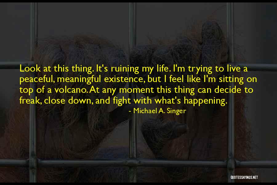Marmees Pantry Quotes By Michael A. Singer Marmees Pantry Quotes By Michael A. Singer