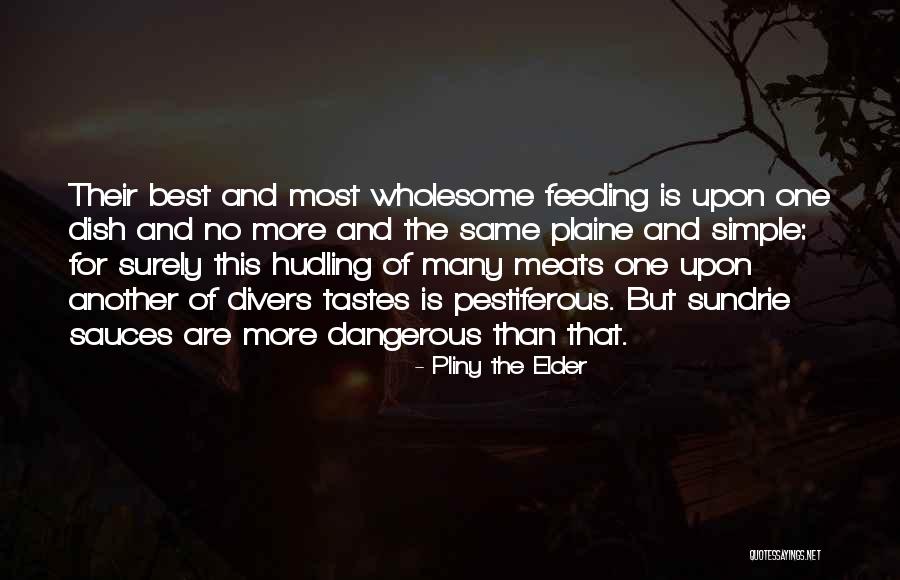 Marmista Roma Quotes By Pliny The Elder Marmista Roma Quotes By Pliny The Elder
