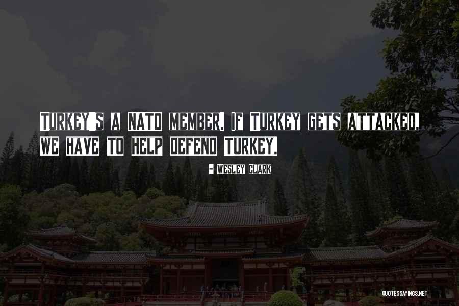 Marmoras Warbler Quotes By Wesley Clark Marmoras Warbler Quotes By Wesley Clark