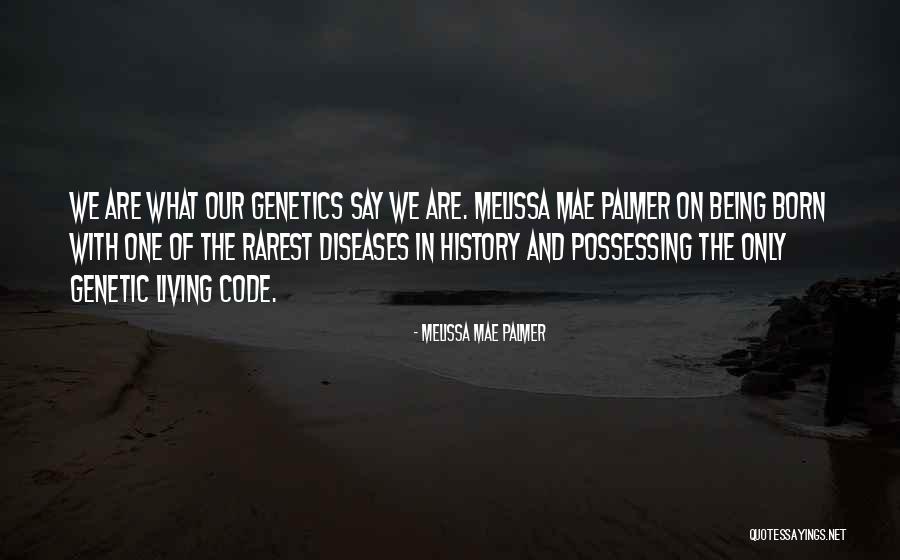Marnewick Attorneys Quotes By Melissa Mae Palmer Marnewick Attorneys Quotes By Melissa Mae Palmer