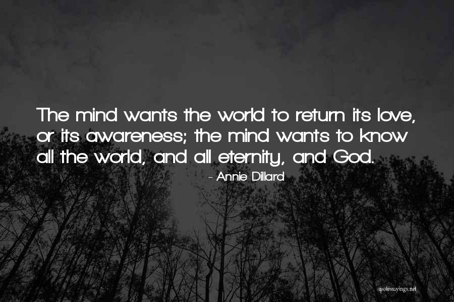Marocchino Pronunciation Quotes By Annie Dillard Marocchino Pronunciation Quotes By Annie Dillard