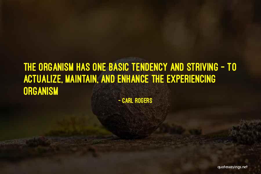 Maroggia Map Quotes By Carl Rogers Maroggia Map Quotes By Carl Rogers