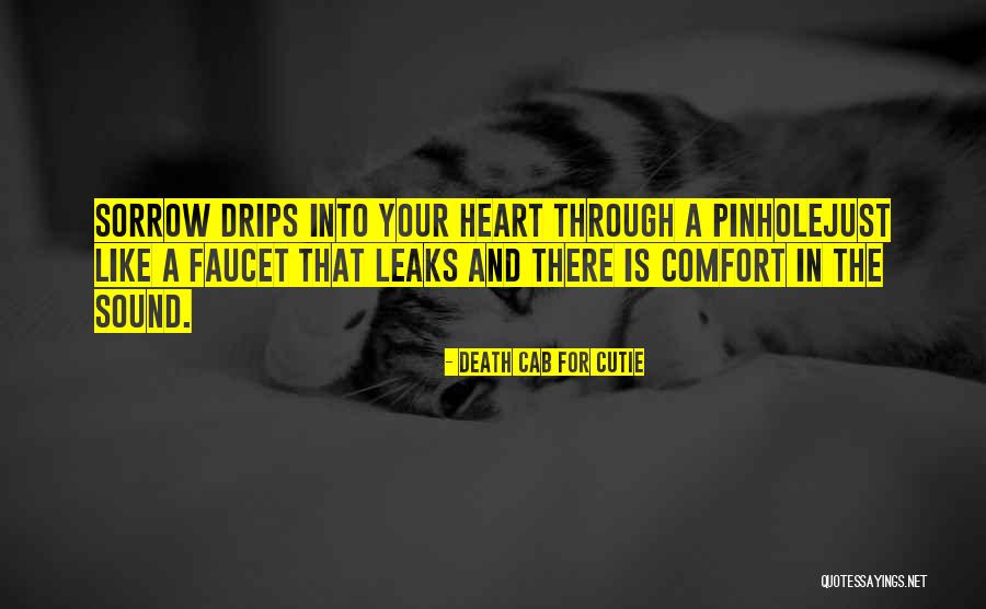 Marolles Quotes By Death Cab For Cutie Marolles Quotes By Death Cab For Cutie