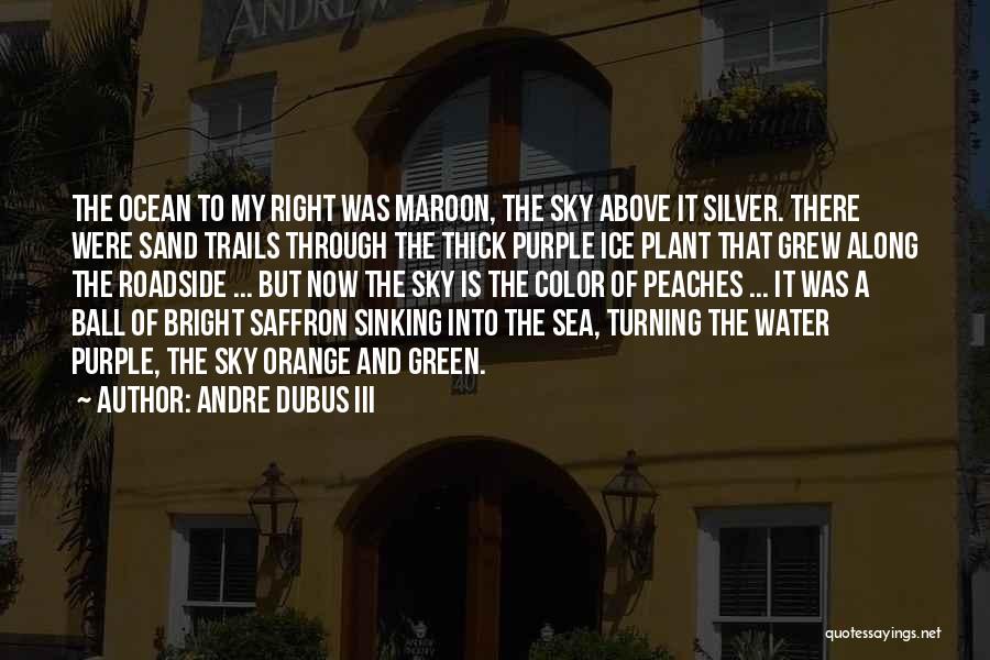Maroon Quotes By Andre Dubus III