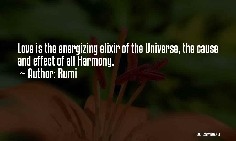 Marouane Chamakh Quotes By Rumi