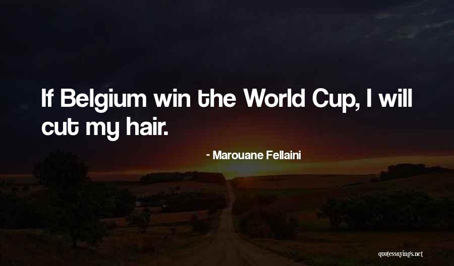 Marouane Fellaini Quotes 855915