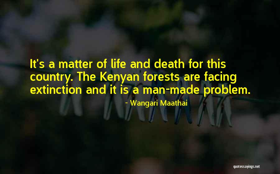 Maroubra Beach Quotes By Wangari Maathai Maroubra Beach Quotes By Wangari Maathai