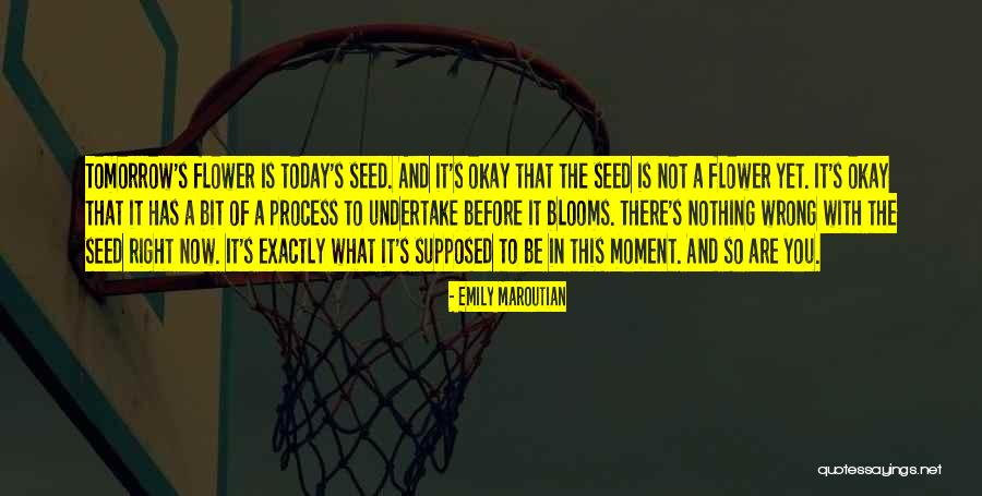 Maroutian Quotes By Emily Maroutian Maroutian Quotes By Emily Maroutian