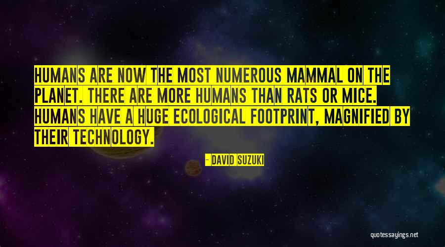 Marquecia Jordan Quotes By David Suzuki Marquecia Jordan Quotes By David Suzuki