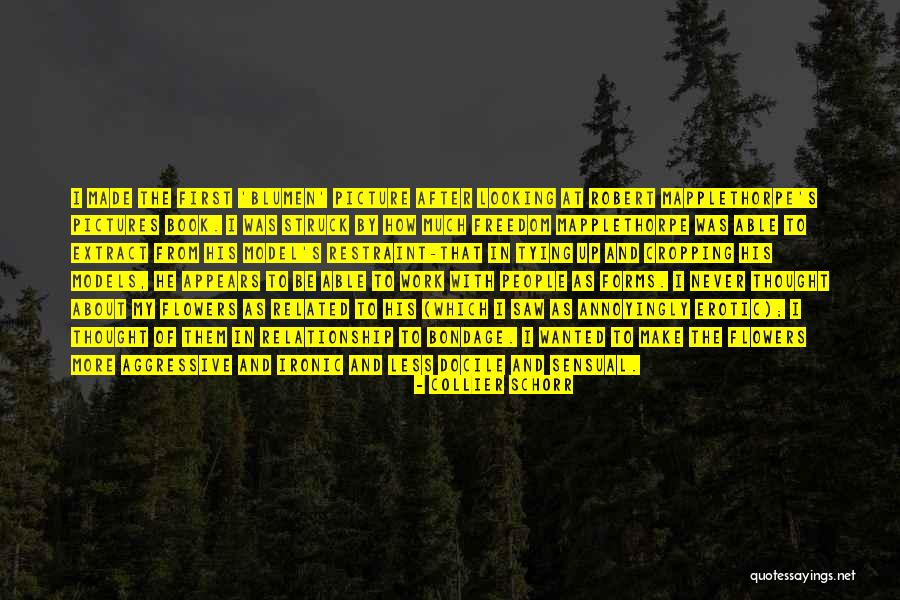 Marquesses Juniors Quotes By Collier Schorr Marquesses Juniors Quotes By Collier Schorr