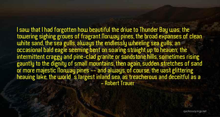 Marquette Quotes By Robert Traver