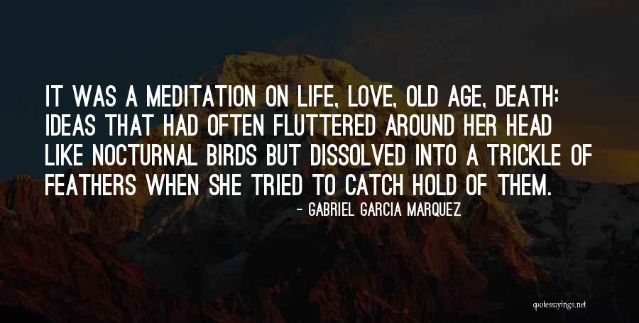 Marquez Death Quotes By Gabriel Garcia Marquez Marquez Death Quotes By Gabriel Garcia Marquez