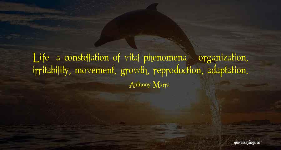 Marra Quotes By Anthony Marra Marra Quotes By Anthony Marra