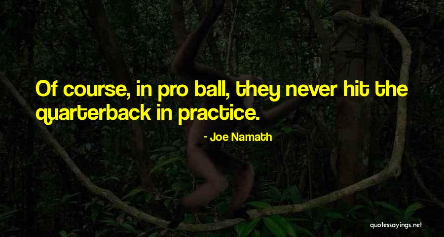 Marraccini Quotes By Joe Namath Marraccini Quotes By Joe Namath