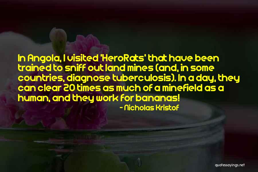 Marrant French Quotes By Nicholas Kristof Marrant French Quotes By Nicholas Kristof