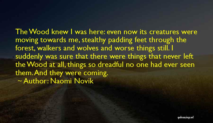 Marrayilyil Quotes By Naomi Novik