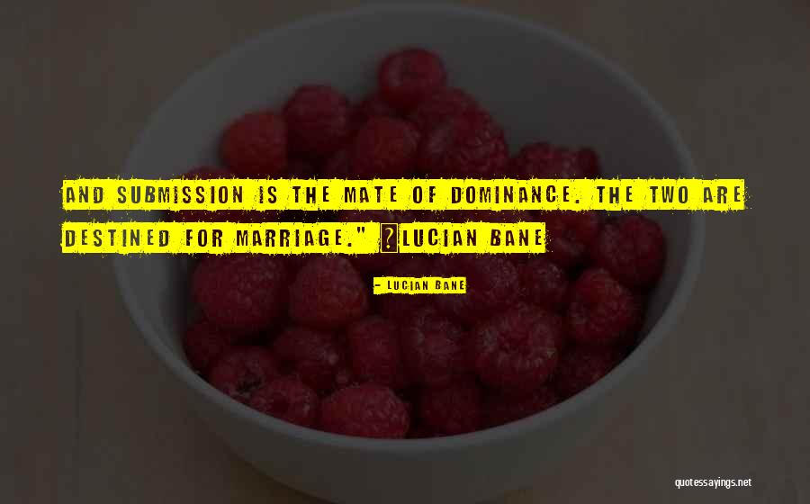 Marriage Advice And Quotes By Lucian Bane Marriage Advice And Quotes By Lucian Bane