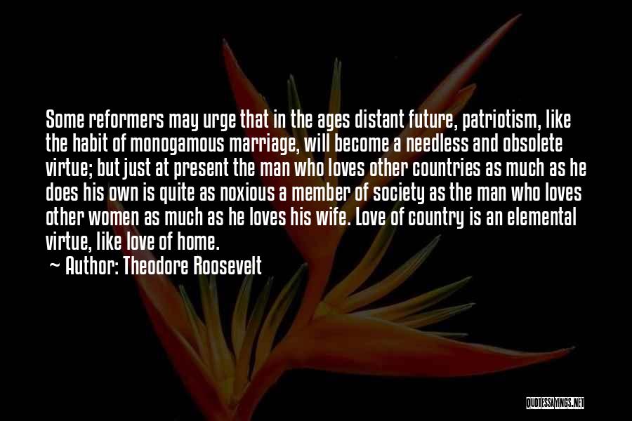 Marriage And The Future Quotes By Theodore Roosevelt