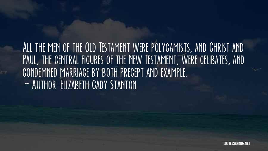 Marriage In The New Testament Quotes By Elizabeth Cady Stanton