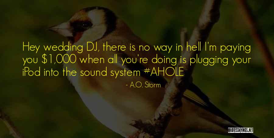 Marriage Is Hell Quotes By A.O. Storm