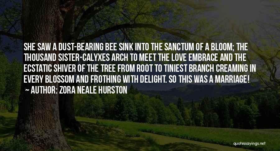 Marriage Sister Quotes By Zora Neale Hurston