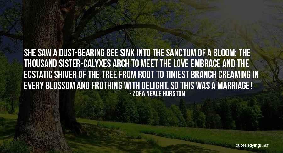 Marriage Sister Quotes By Zora Neale Hurston Marriage Sister Quotes By Zora Neale Hurston