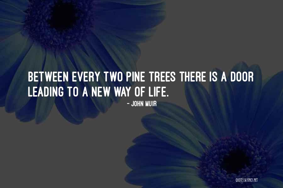 Marriotts Waiohai Quotes By John Muir Marriotts Waiohai Quotes By John Muir