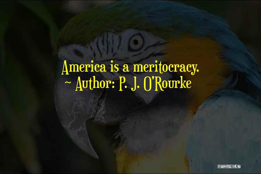 Marros Saugatuck Quotes By P. J. O'Rourke