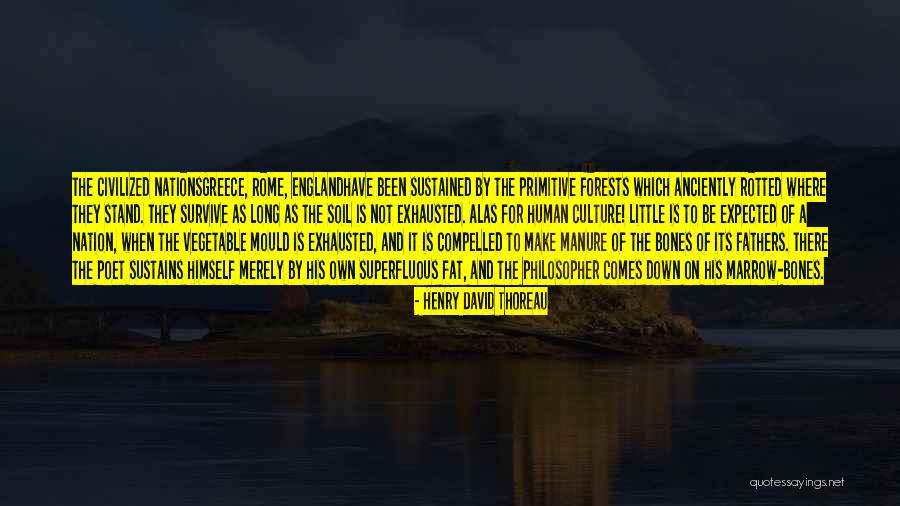 Marrow Bones Quotes By Henry David Thoreau Marrow Bones Quotes By Henry David Thoreau