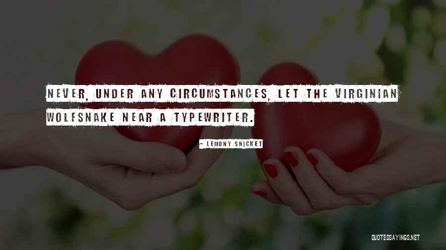 Marrying Your Highschool Sweetheart Quotes By Lemony Snicket Marrying Your Highschool Sweetheart Quotes By Lemony Snicket