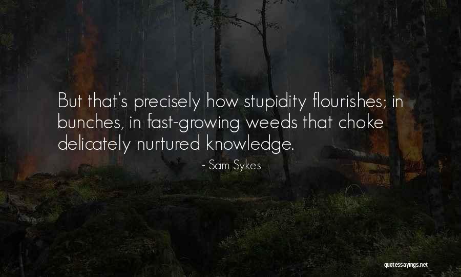 Marsay South Quotes By Sam Sykes Marsay South Quotes By Sam Sykes