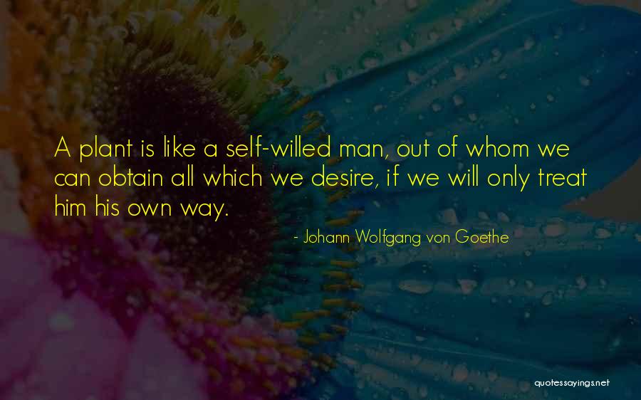 Marsella Reyes Quotes By Johann Wolfgang Von Goethe Marsella Reyes Quotes By Johann Wolfgang Von Goethe